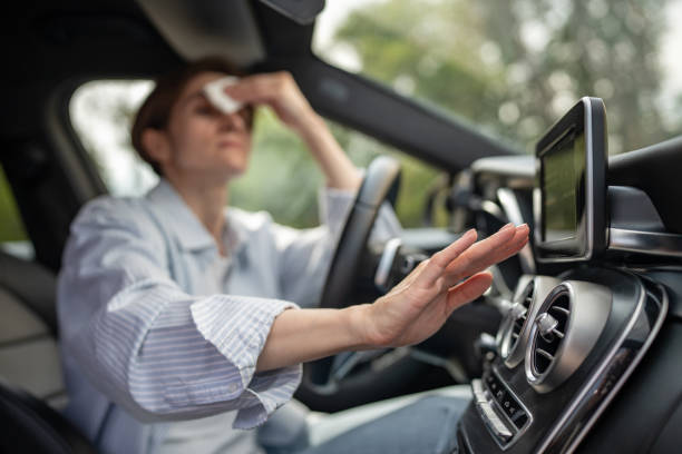 Best Thermostats and Smart Controls in Stinnett, TX